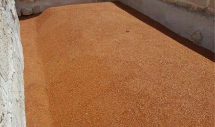 Limepor coccioforte comunicato stampa