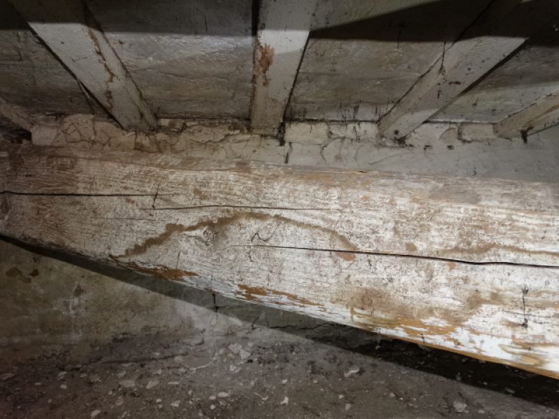 Ripristino lesioni elementi lignei trattamenti antitarlo